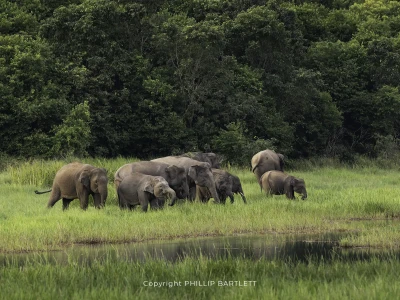 2026 Photo Tour Indonesia