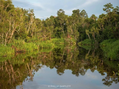 Borneo Culture Photo Tour